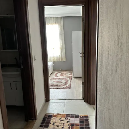 Mirlav * Ayvalı